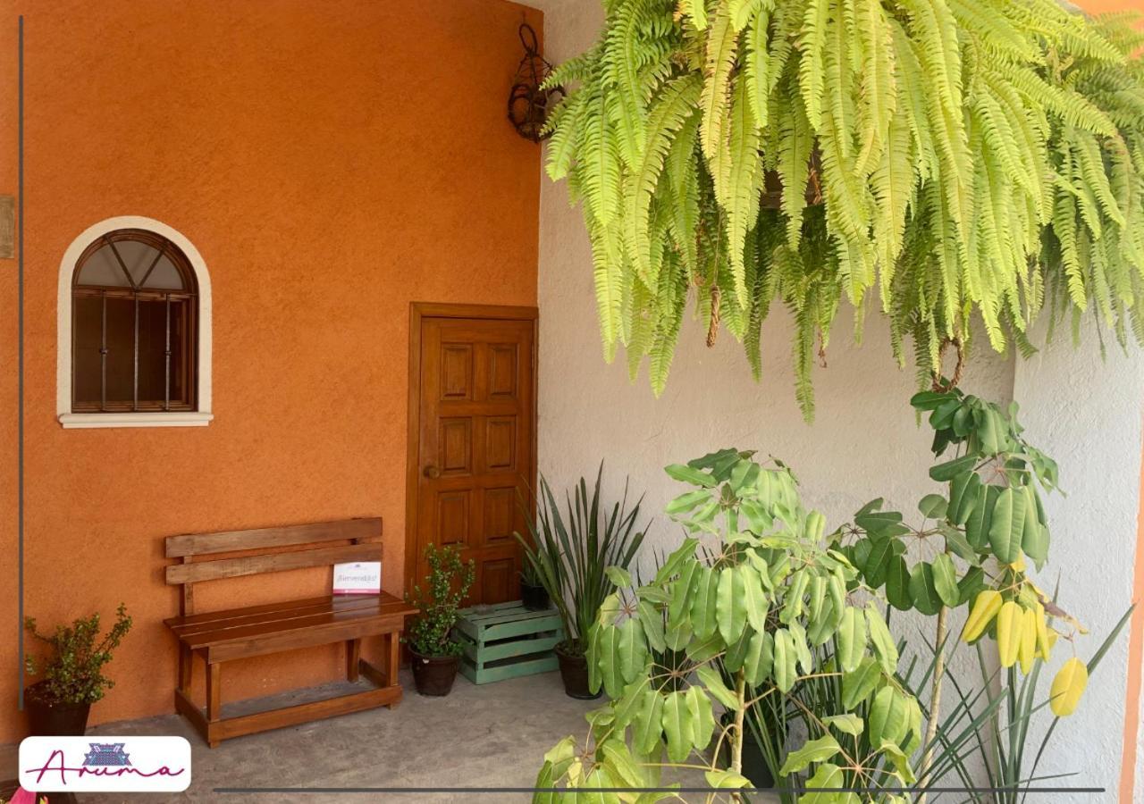 Aruma Cuernavaca Exteriör bild